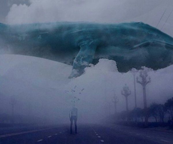 Синий кит – группа смерти